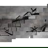 Mexen Mist Duo Duschkabine schwenkbar 85 x 75 cm, schwarzes Gitter, schwarz - 8A4-085L-075P-70-77