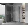 Mexen Mist L Duo cabine de douche pivotante 115 x 90 cm, transparent, chromé - 8A4L-115-090-01-00