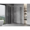 Mexen Mist L Duo hinged dušikabiin 120 x 95 cm, läbipaistev, kroom - 8A4L-120-095-01-00