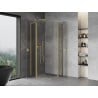 Mexen Mist L Duo Hinged Shower Enclosure 105 x 105 cm, Transparent, Gold - 8A4L-105-105-50-00