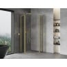 Mexen Mist L Duo 95 x 95 cm Hinged Shower Enclosure, Transparent, Brushed Gold - 8A4L-095-095-55-00