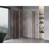Mexen Mist L Duo klizna vrata kabina za tuširanje 105 x 95 cm, prozirna, brušena mjed - 8A4L-105-095-65-00