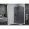 Mexen Pretoria kabina prysznicowa uchylna 100 x 120 cm, grafit, chrom + brodzik Flat - 852-100-120-01-40-4010