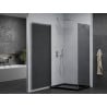 Mexen Pretoria cabina doccia a battente 100 x 110 cm, grafite, cromo + piatto doccia Flat, nero - 852-100-110-01-40-4070