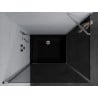 Mexen Pretoria cabina doccia a battente 100 x 110 cm, grafite, cromo + piatto doccia Flat, nero - 852-100-110-01-40-4070
