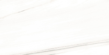 Mexen Lasa White glazed rectified gres sample. G1, floor-wall tile, glossy - TL103-00-S