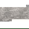 Mexen Lizard Muestra de gres vidriado rectificado gris, azulejo para suelo y pared 120 x 60 cm, brillo - TL109-02-S