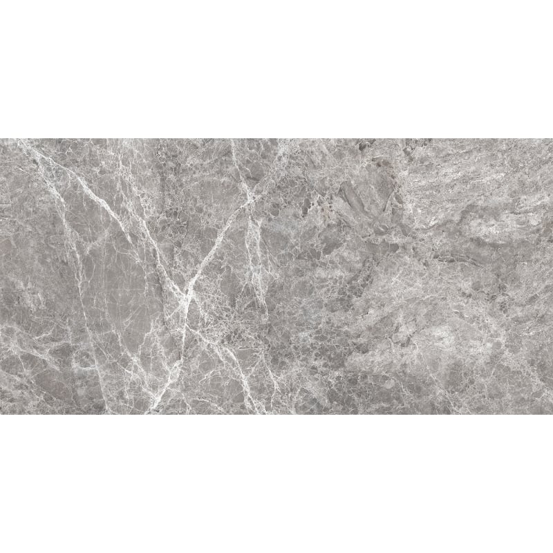 Mexen Lizard Grey sample of glazed rectified porcelain stoneware, floor-wall tile, gloss - TL109-02-S
