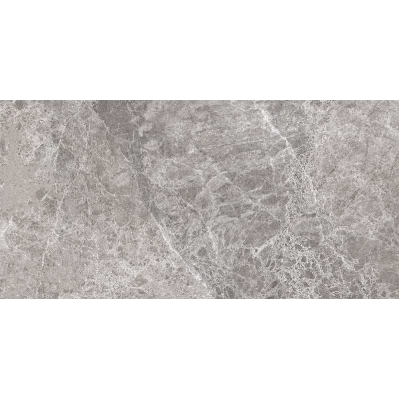 Mexen Lizard Grey sample of glazed rectified porcelain stoneware, floor-wall tile, gloss - TL109-02-S