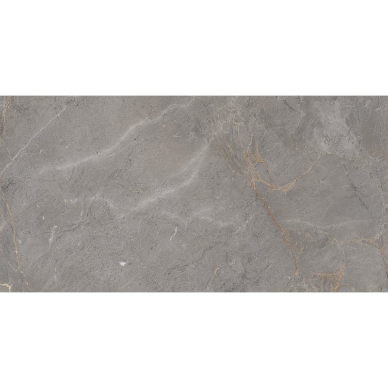 Mexen Era Graue Probe von glasiertem Feinsteinzeug rekt. G1, Boden- und Wandfliese 120 x 60 cm, glänzend - TL117-03-S