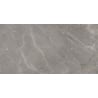 Mexen Era Grey sample of glazed rectified G1 stoneware, floor-wall tile, gloss - TL117-03-S