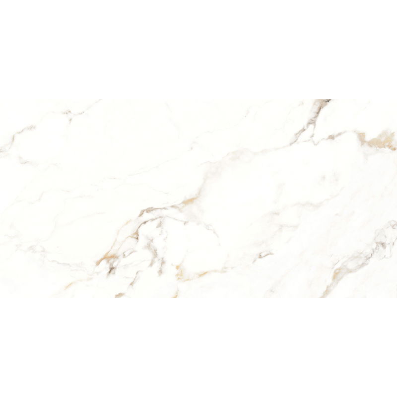 Mexen Scordia Graue Probe des glasierten Rektifikations-Gres. G1, Boden-Wand-Fliese 120 x 60 cm, glänzend - TL125-00-S