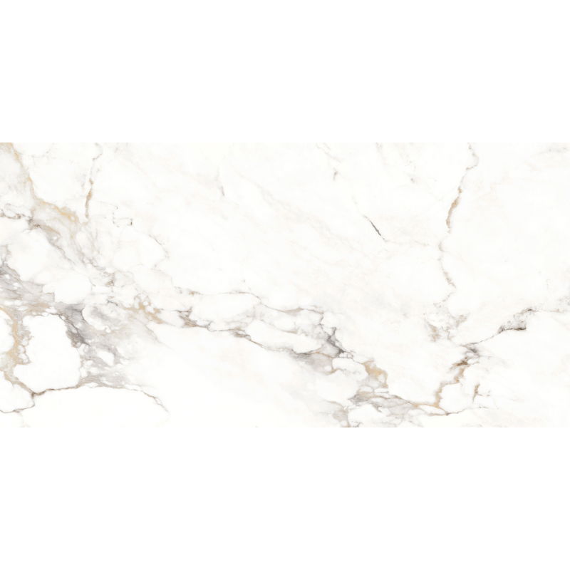 Mexen Scordia Campione grigio di gres smaltato rettificato G1, piastrella da pavimento e rivestimento 120 x 60 cm, lucida