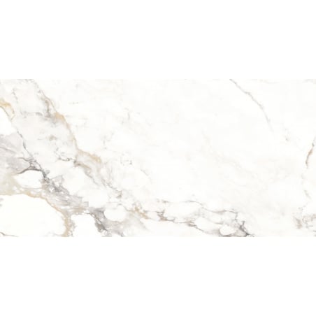 Mexen Scordia Muestra gris de gres esmaltado rectificado G1, azulejo de suelo y pared 120 x 60 cm, brillo - TL125-00-S