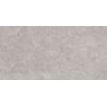 Mexen Qortecia Grey Sample of Glazed Rectified Porcelain Gres G1, Floor-Wall Tile 120 x 60 cm, Glossy - TL129-01-S