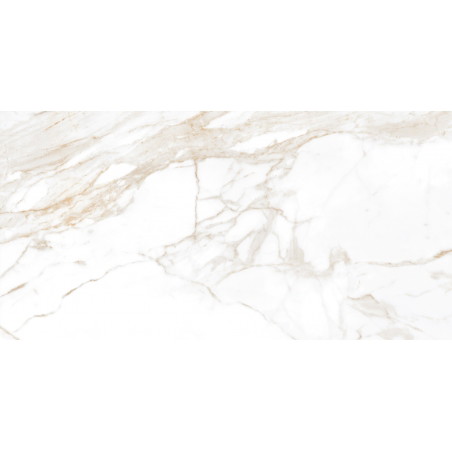 Mexen Faro Naravni vzorec glazirane porcelanaste ploščice rek. G1, talno-stenska ploščica, sijaj - TL138-01-S