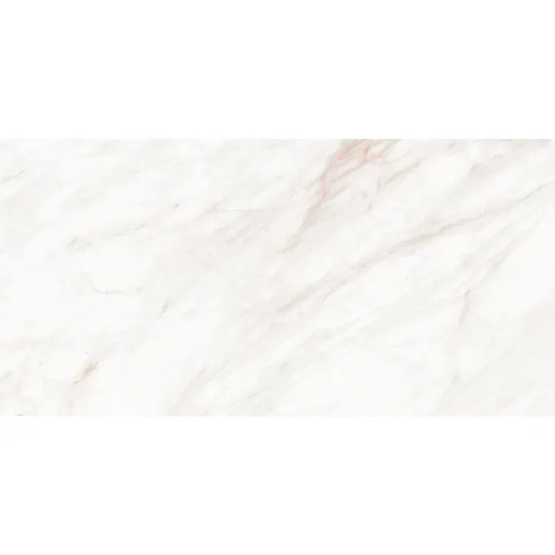 Mexen Forever Graue Probe glasiertes Feinsteinzeug rekt. G1, Boden- und Wandfliese, glänzend - TL139-00-S