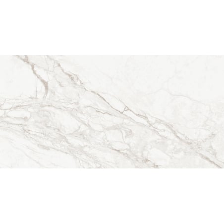 Mexen Rayas Silber Probe des glasierten rektifizierten Feinsteinzeugs G1, Boden- und Wandfliese 120 x 60 cm, Glanz - TL147-01-S