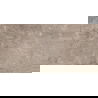 Mexen Arbour Échantillon taupe du grès émaillé rectifié G1, carreau de sol et mural 120 x 60 cm, brillant - TL158-01-S