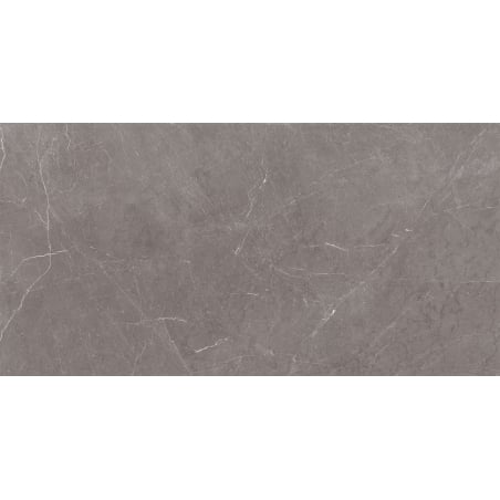 Mexen Gloster Grey sample of glazed rectified porcelain tile G1, floor-wall tile, gloss - TL172-01-S