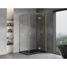 Mexen Mist-H Duo right hinged shower enclosure 100 x 105 cm, transparent, brushed gold - 8A5-100L-105P-55-00
