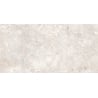 Mexen Tubac Échantillon gris de carreau céramique émaillé rectifié G1, carreau sol-mur 120 x 60 cm, mat - TL304-04-S