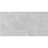 Mexen Terralite Vzorec glaziranega porcelanskega kamna Ash rek. G1, talna in stenska ploščica, mat - TL306-00-S