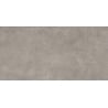 Mexen District Gris échantillon de grès émaillé rectifié G1, carreau sol-mur, mat - TL308-02-S