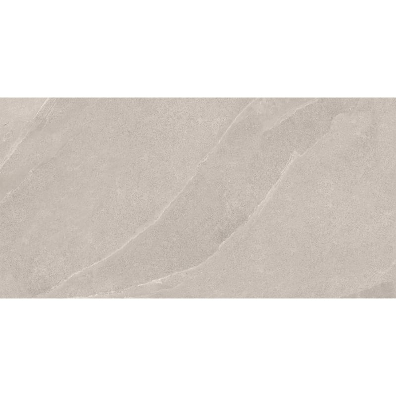 Mexen Aryan Silver glazed rectified gres sample G1, floor-wall tile, matte - TL310-05-S