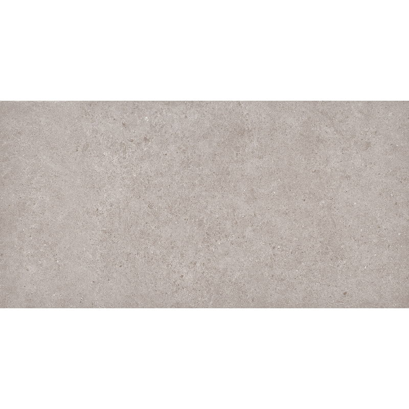 Mexen Town Silver glazed rectified porcelain stoneware sample. G1, floor and wall tile 120 x 60 cm, matte - TL325-04-S