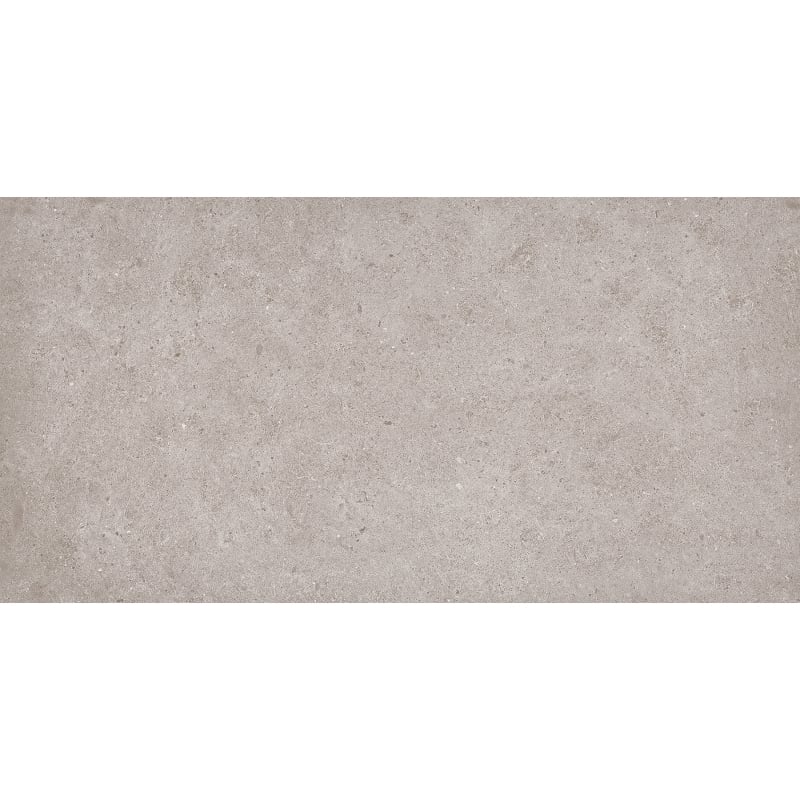 Mexen Town Silber Probe von glasiertem Feinsteinzeug rekt. G1, Boden- und Wandfliese 120 x 60 cm, matt - TL325-04-S