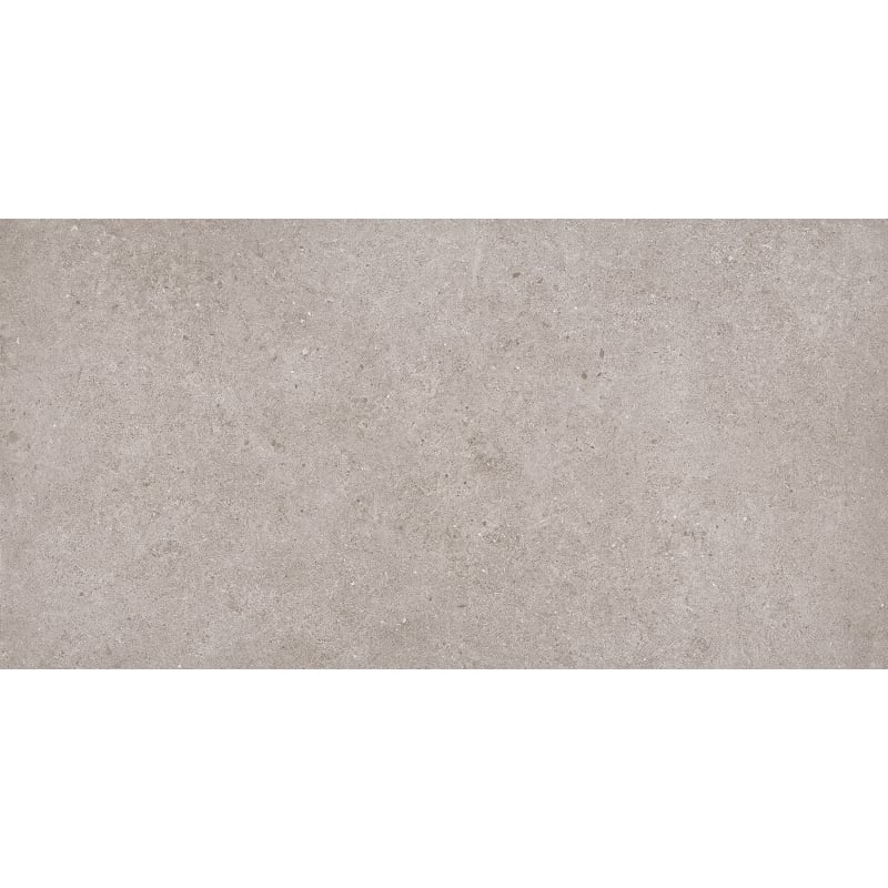 Mexen Town Silver glazed rectified porcelain stoneware sample. G1, floor and wall tile 120 x 60 cm, matte - TL325-04-S