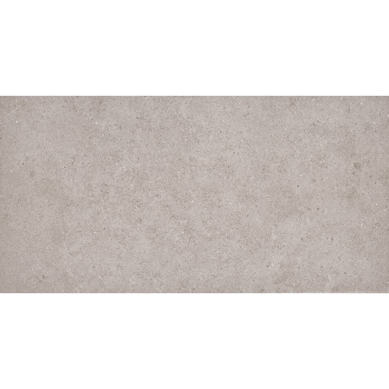 Mexen Town Silver glazed rectified porcelain stoneware sample. G1, floor and wall tile 120 x 60 cm, matte - TL325-04-S