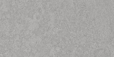 Mexen Megnum Sudraba glazētā akmens masas flīzes paraugs, grīdas un sienas flīze 120 x 60 cm, gravējums - TL342-03-S