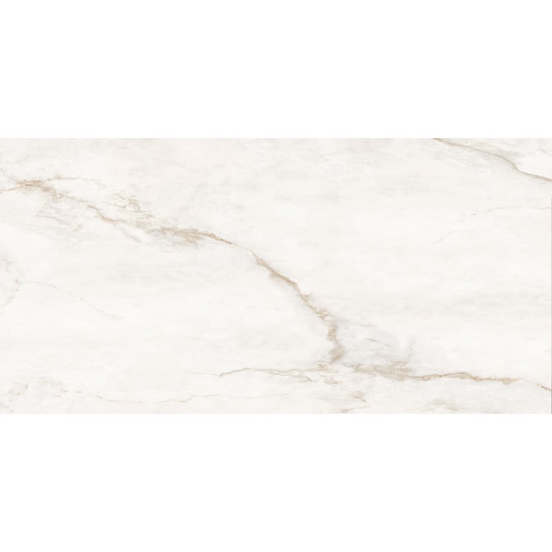 Mexen Brakel Gold Sample of Glazed Rectified Porcelain Tile G1, Floor-Wall Tile 120 x 60 cm, Carving - TL402-00-S