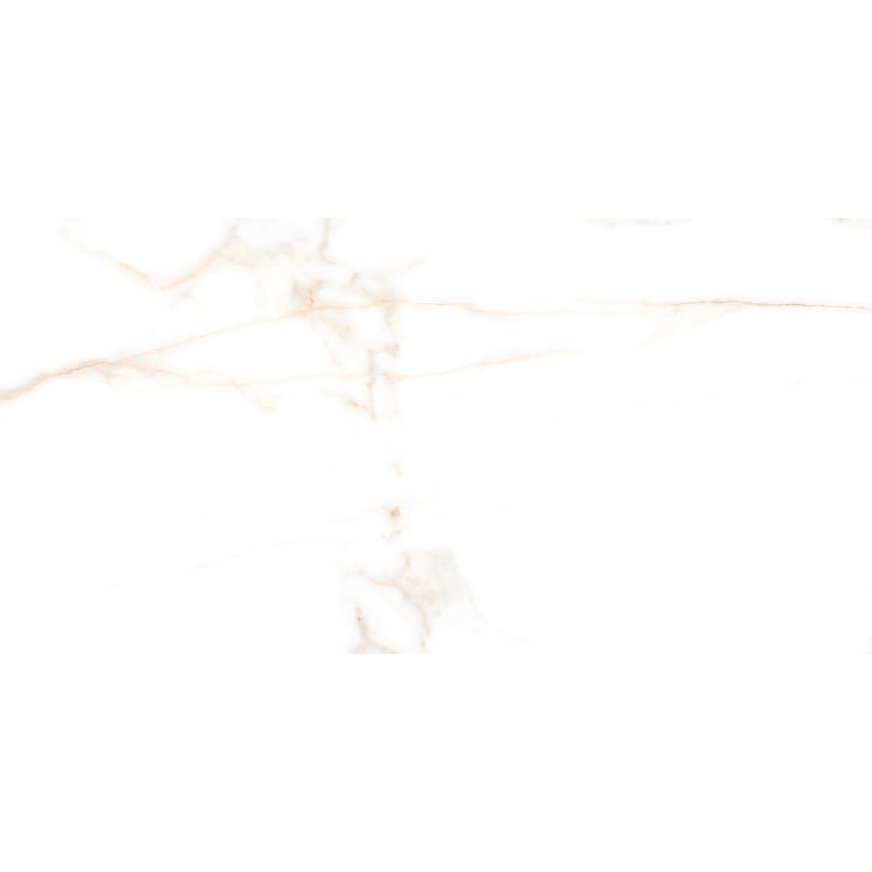 Mexen Viola Brown glazed rectified stoneware sample G1, floor-wall tile 120 x 60 cm, carving - TL416-00-S