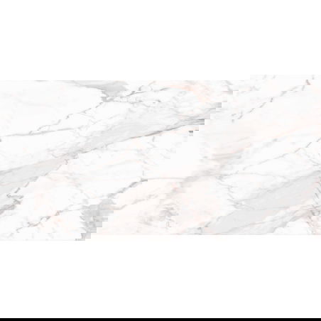 Mexen Nubian Graue glasiertes Feinsteinzeug Probe rek. G1, Boden- und Wandfliese 120 x 60 cm, Gravur - TL424-00-S