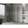 Mexen Mist-H L Duo dušikabiin, lahtikäivad uksed, 100 x 100 cm, läbipaistev, harjatud kuld - 8A5L-100L-100P-55-00