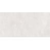 Mexen Evolution Balta glazēta akmens masas plāksnes paraugs rekts. G1, grīdas un sienas flīze 120 x 60 cm, gravējums