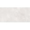 Mexen Evolution Balta glazēta akmens masas plāksnes paraugs rekts. G1, grīdas un sienas flīze 120 x 60 cm, gravējums