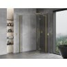 Mexen Mist-H L Duo cabine de douche battante 70 x 80 cm, transparent, or brossé - 8A5L-070L-080P-55-00