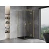 Mexen Mist H T cabine de douche pivotante droite 75 x 75 cm, transparent, doré - 8A5T-075-075-50-00-P