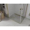Mexen Lima Duo folding shower cabin 100 x 90 cm, transparent, gold - 856-100-090-50-00-02
