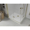 Mexen Lima Duo opvouwbare douchecabine 100 x 90 cm, transparant, goud + Flat douchebak - 856-100-090-50-02-4010G
