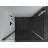 Mexen Pretoria Duo draaideur douchecabine 80 x 70 cm, transparant, zwart - 852-080-070-70-00-02