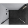 Mexen Pretoria Duo hinged shower cabin 80 x 70 cm, transparent, black - 852-080-070-70-00-02