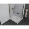 Mexen Pretoria Duo Hinged Shower Enclosure 80 x 70 cm, Transparent, Gold + Flat Tray - 852-080-070-50-02-4010G