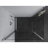Mexen Pretoria Duo cabine de douche pivotante 100 x 90 cm, transparent, chrome - 852-100-090-02-00