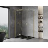 Mexen Mist-H T tuš kabina z nihajnimi vrati levo 110 x 100 cm, prozorna, zlato ščetkana - 8A5T-110-100-55-00-L