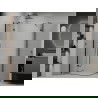 Mexen Roma Duo Duschkabine schwenkbar 90 x 80 cm, transparent, schwarz - 854-090-080-70-00-02
